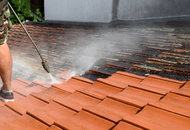 Best Pressure Washing Contractors  in Howe, TX